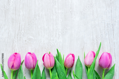 Frische Tulpen in einer Reihe auf Holz Hintergrund - Frauentag -