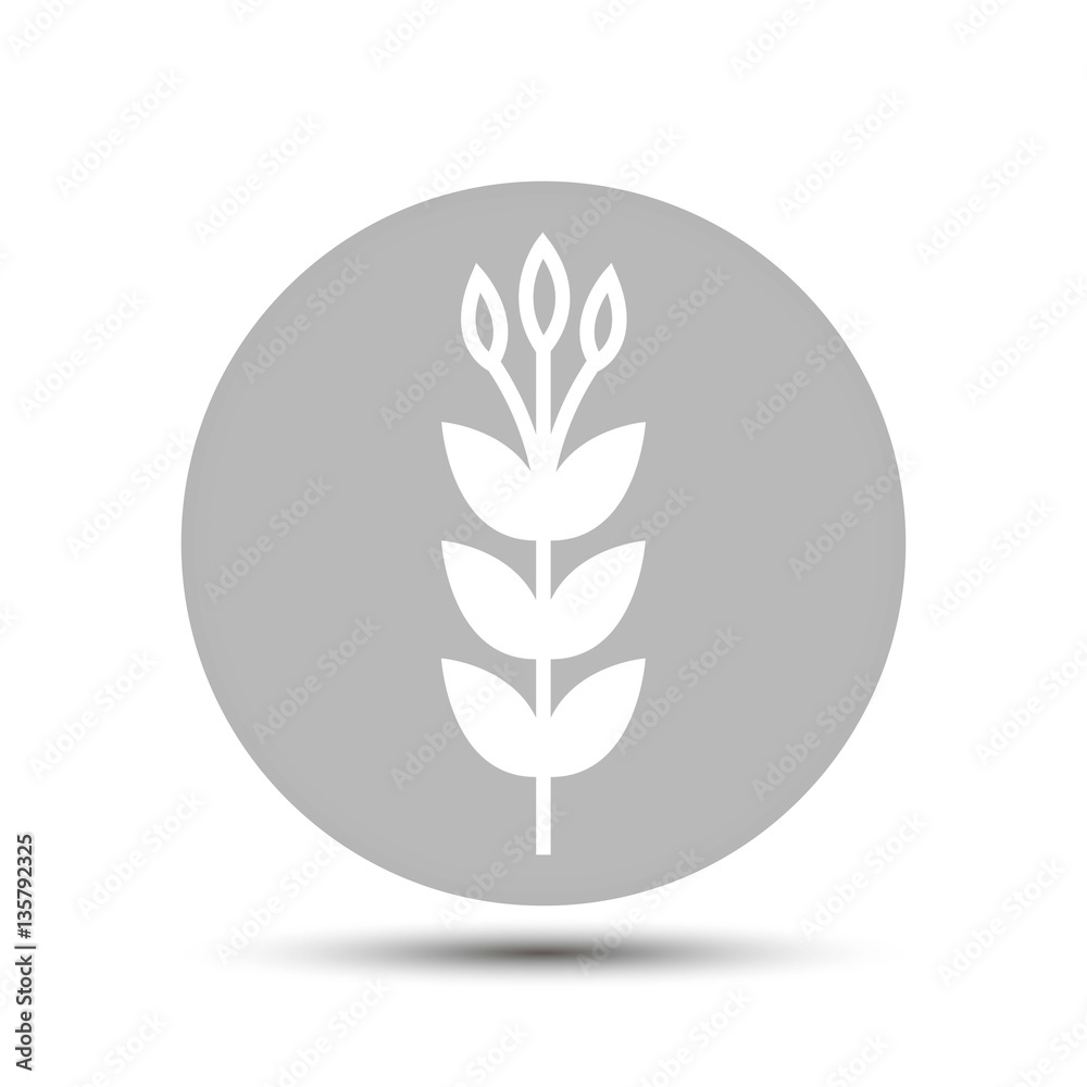 flower. vector icon on gray background