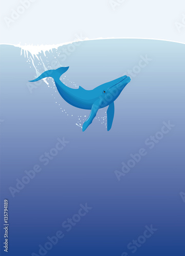 Baleine plongeant dans l'océan