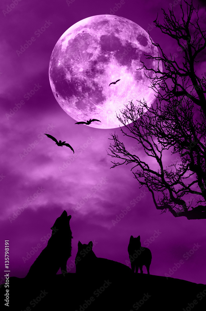 Wolves and Moon like a concept for magic wolf pack 