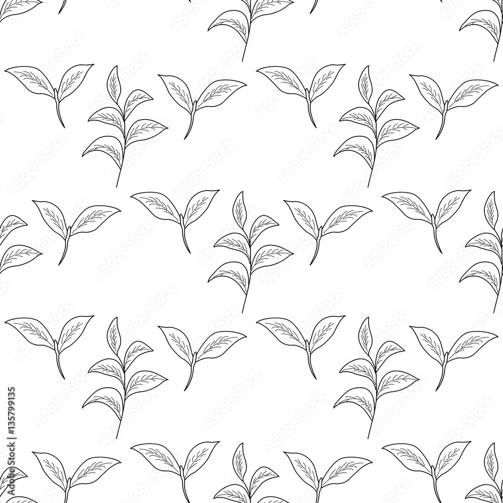 Obraz premium Green tea leaf illustration, branch organic hand drawing sketch, seamless pattern