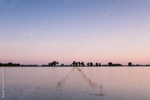Sunset over a road of a rice paddy flooded 