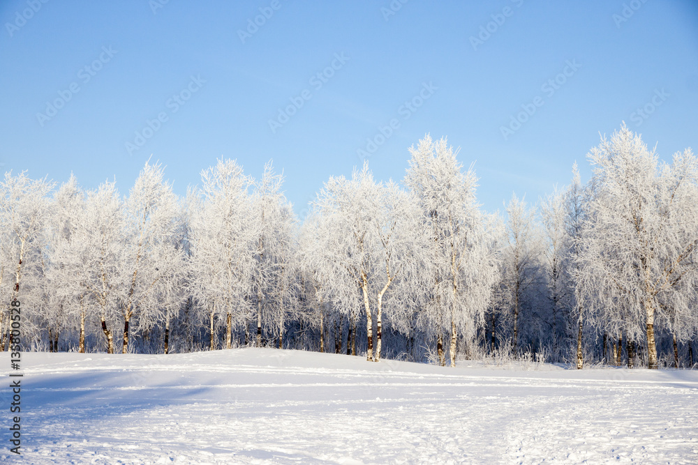 Winter landscape with snow covered trees . Winter landscape with snow covered trees .