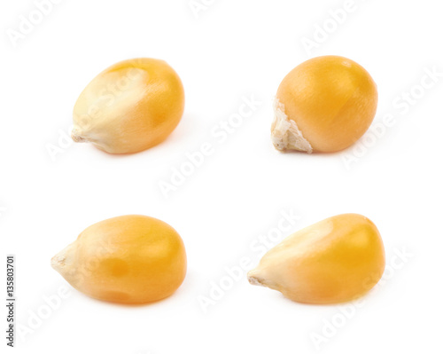 Single corn kernel isolated photo