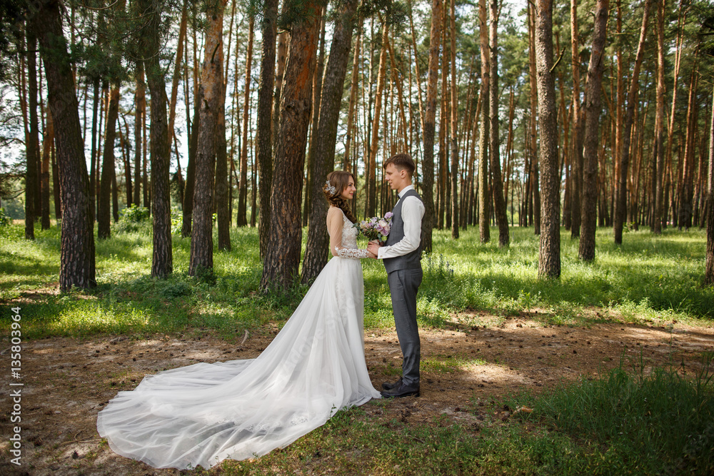 Bride in wedding dress with long plume and elegant groom in grey vest holding hands in forest at wedding day Bride in wedding dress with long plume and elegant groom in grey vest holding hands in forest at wedding day