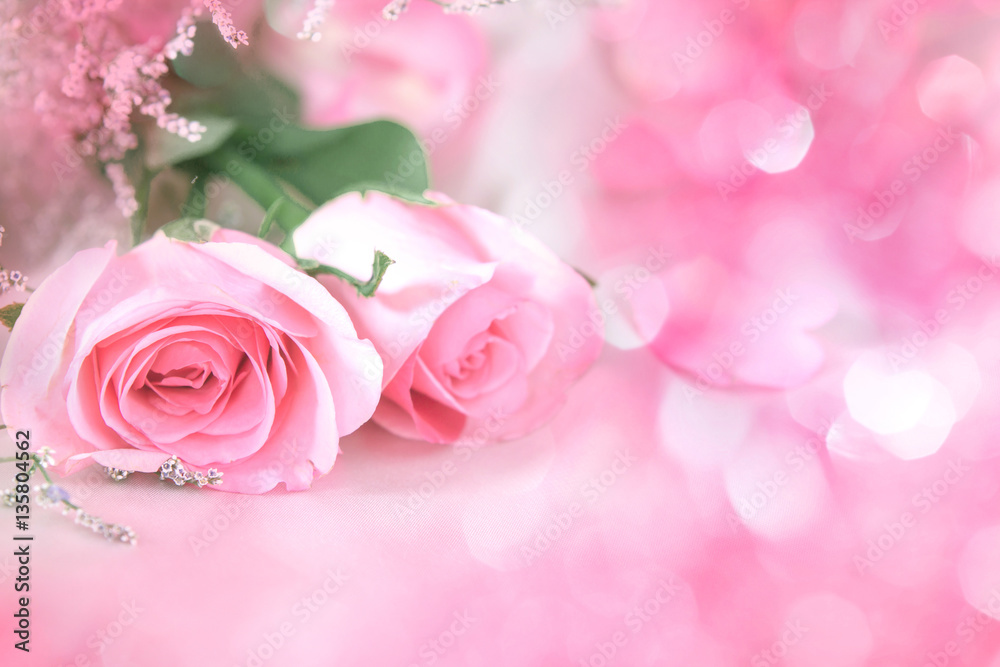 Fototapeta premium soft sweet rose flowers for love romance background
