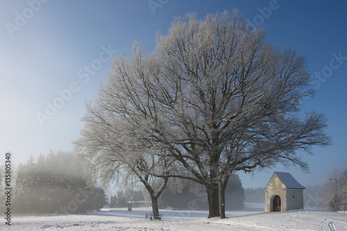 Kapelle mit Bäumen photo