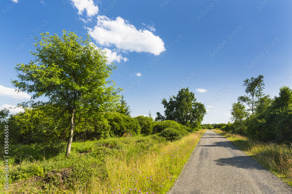 Road Through Moor Landscape In The High Fens, Belgium Road Through Moor Landscape In The High Fens, Belgium