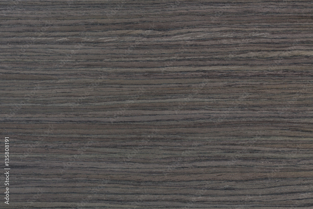 Fototapeta premium Natural texture of gray oak.