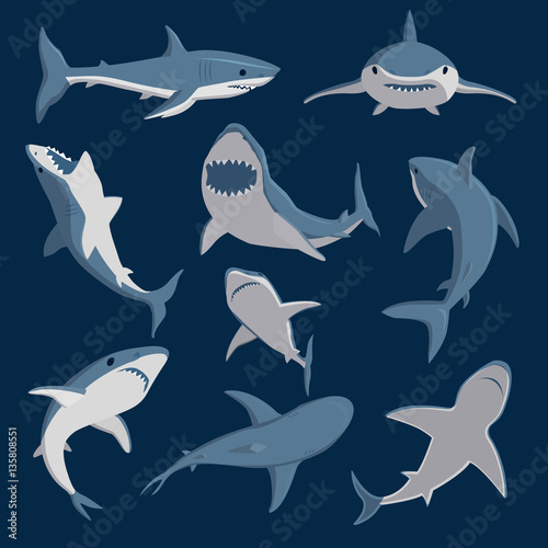 Obraz na płótnie Vector shark comic style character wild fish set.