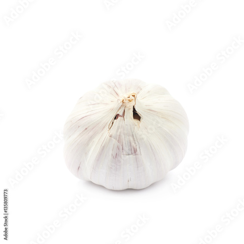Single bulb of garlic isolated