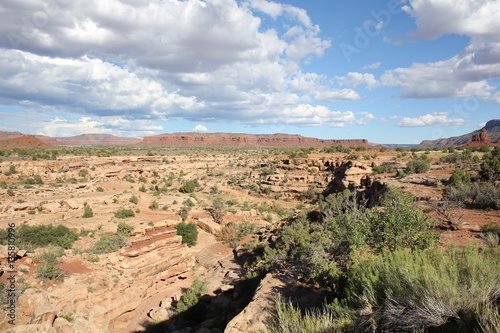 Scenic landscape in Utah, USA