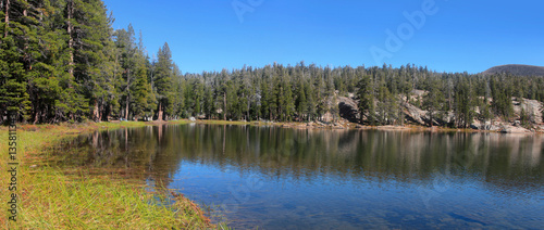 Woods lake in California