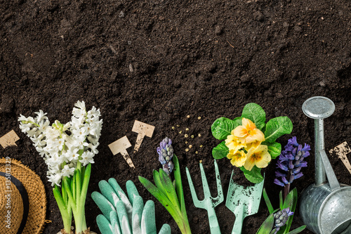 Fototapeta Naklejka Na Ścianę i Meble -  Spring garden works. Gardening tools and flowers on soil.
