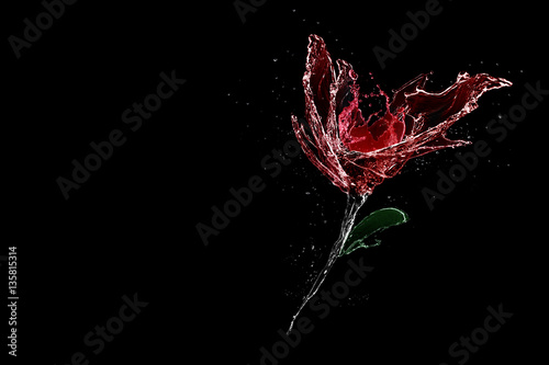 Rose made of water splash isolated on black background
