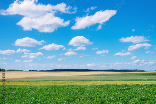 Rural scenic landscape with blue sky with clouds.