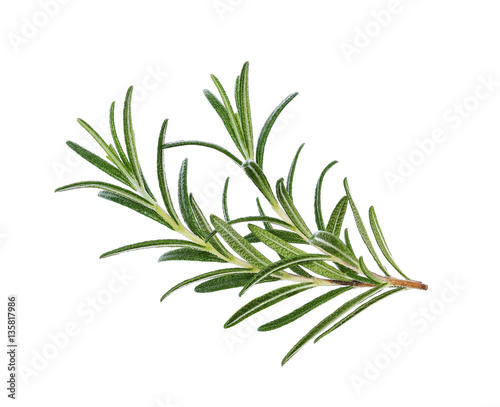 Fotografiet Rosemary isolated on white background, Top view.