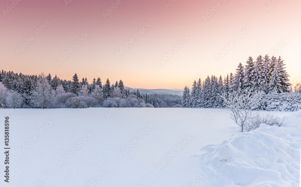 Sunny winter landscape in the mountains