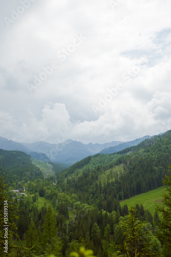 Mountain landscape in summer