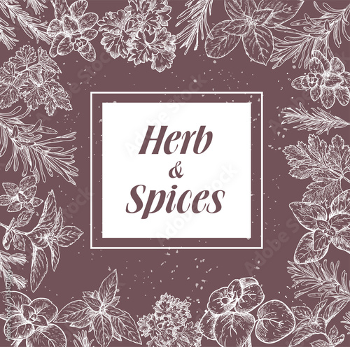 Herbs and spices label. Engraving illustrations for packaging.