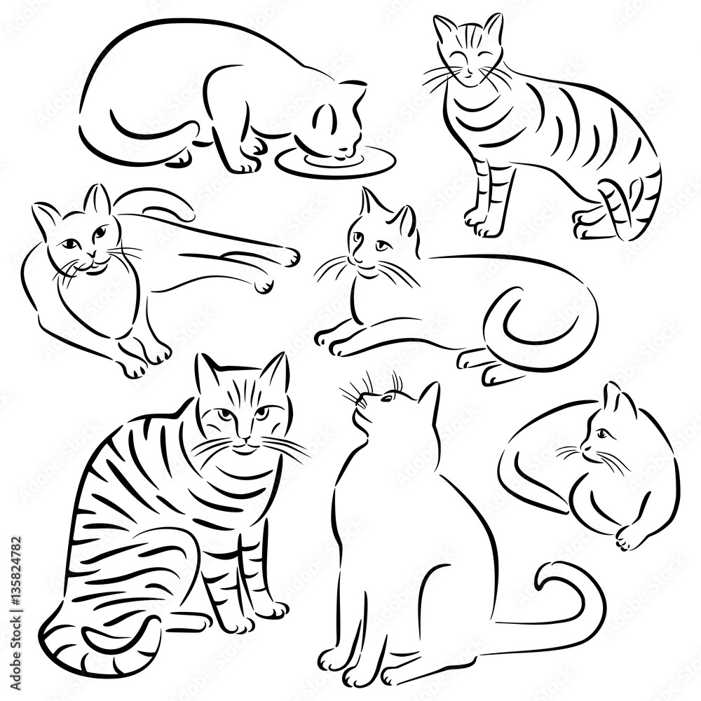Cat Line Designs_Set 3