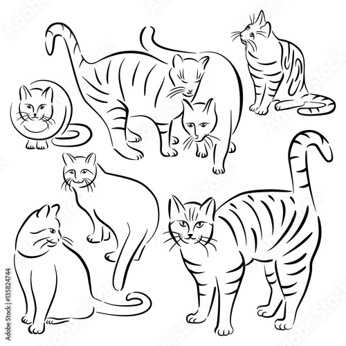Cat Line Designs_Set 2