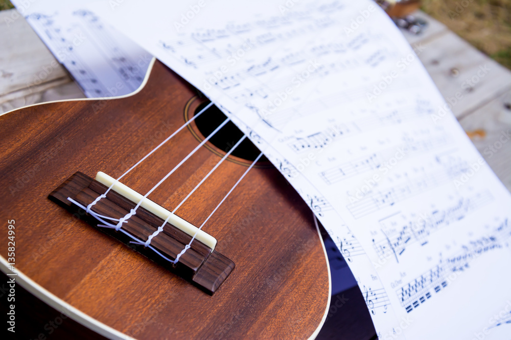 Fototapeta premium Guitar close up on audio note