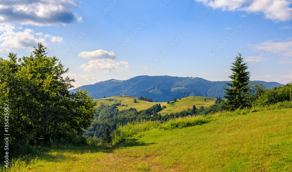 grassy meadow on hillside grassy meadow on hillside