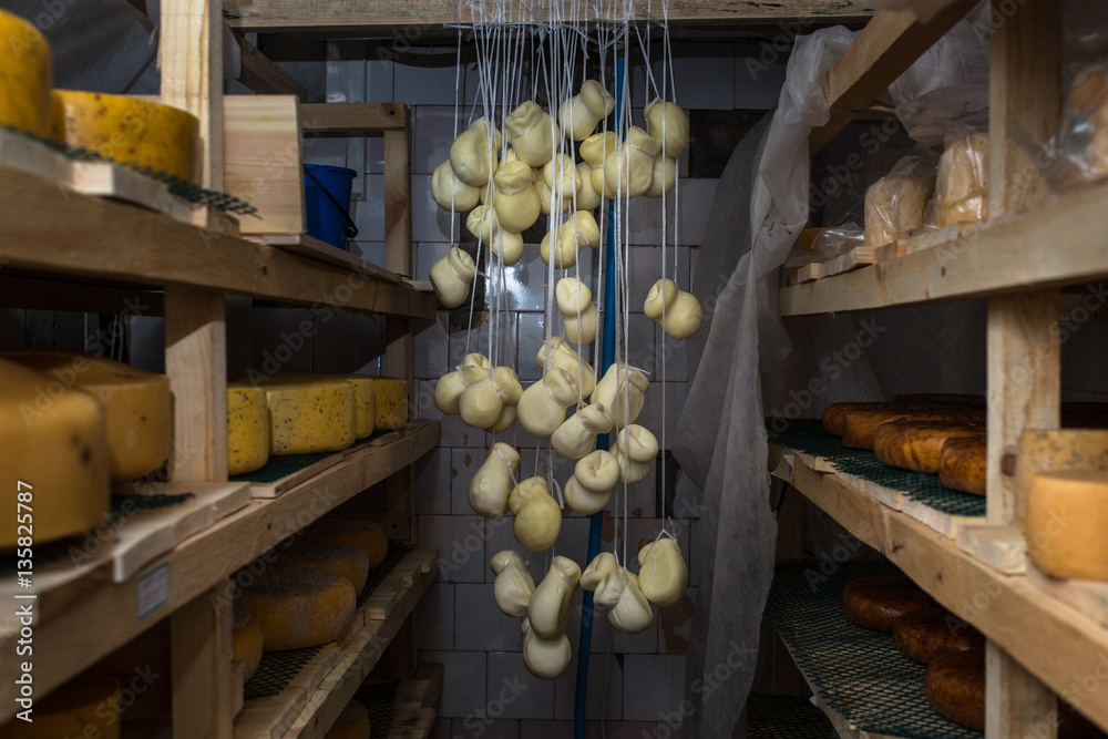 cheese at the dairy, cheese is ripen on racks