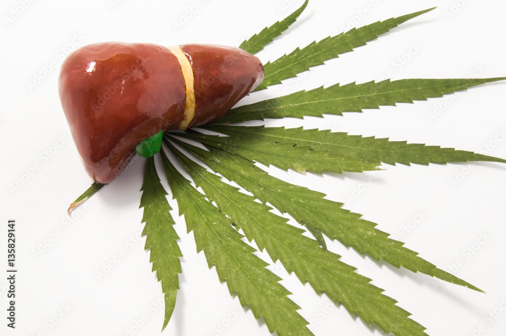 Liver and marijuana or cannabis. The volume figure the liver to the