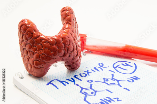 Thyroid hormone thyroxine. Anatomical volume thyroid gland figure lies next to test lab tube with blood on note, where is written Thyroxine and drawn its chemical formula. Concept for thyroid disease photo