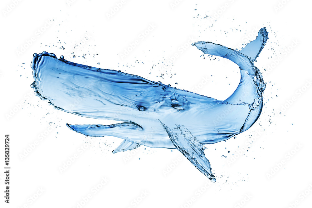 Whale water splash make from water isolate on white background. Stock ...