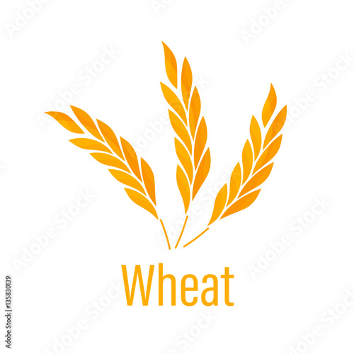 Ears of Wheat icon.