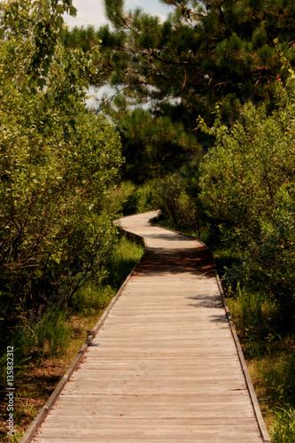 Walk In The Park