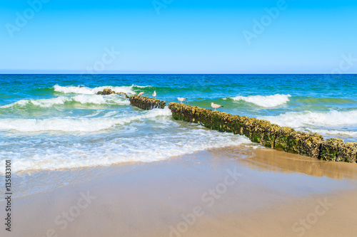 Breakwaters with seagulls and sea waves on a beach, Sylt island, Germany