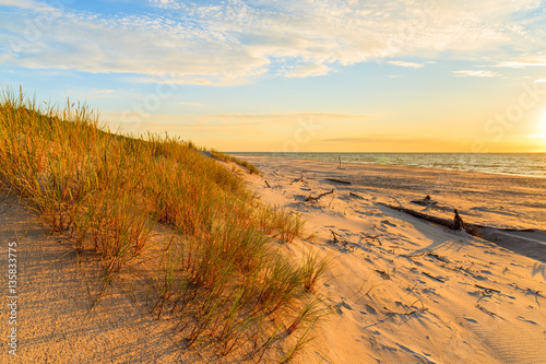 Grass on sand dune and sunset over Leba beach, Baltic Sea, Poland