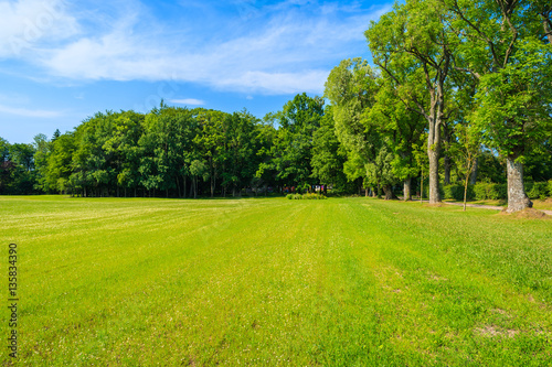 View of green park near Leba village  Pomerania region  Poland