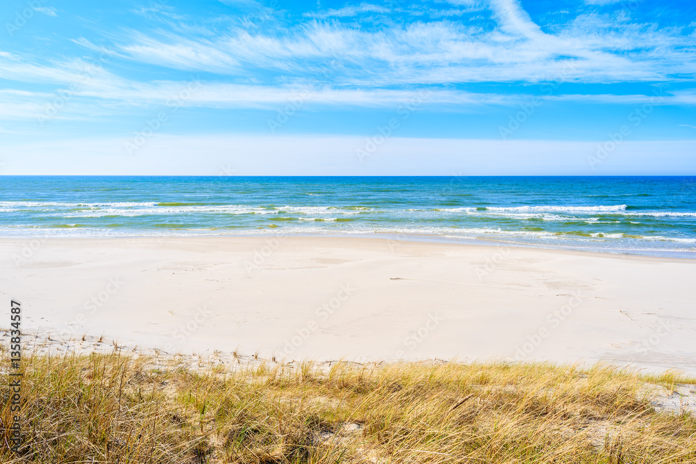 White sand and grass dune on Debki beach, Baltic Sea, Poland
