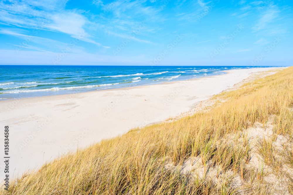 White sand and grass dune on Debki beach, Baltic Sea, Poland White sand and grass dune on Debki beach, Baltic Sea, Poland