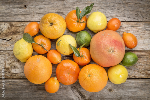citrus fruit collection on weathered wood
