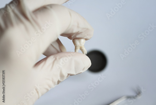 torn aching tooth in the hands of a dentist