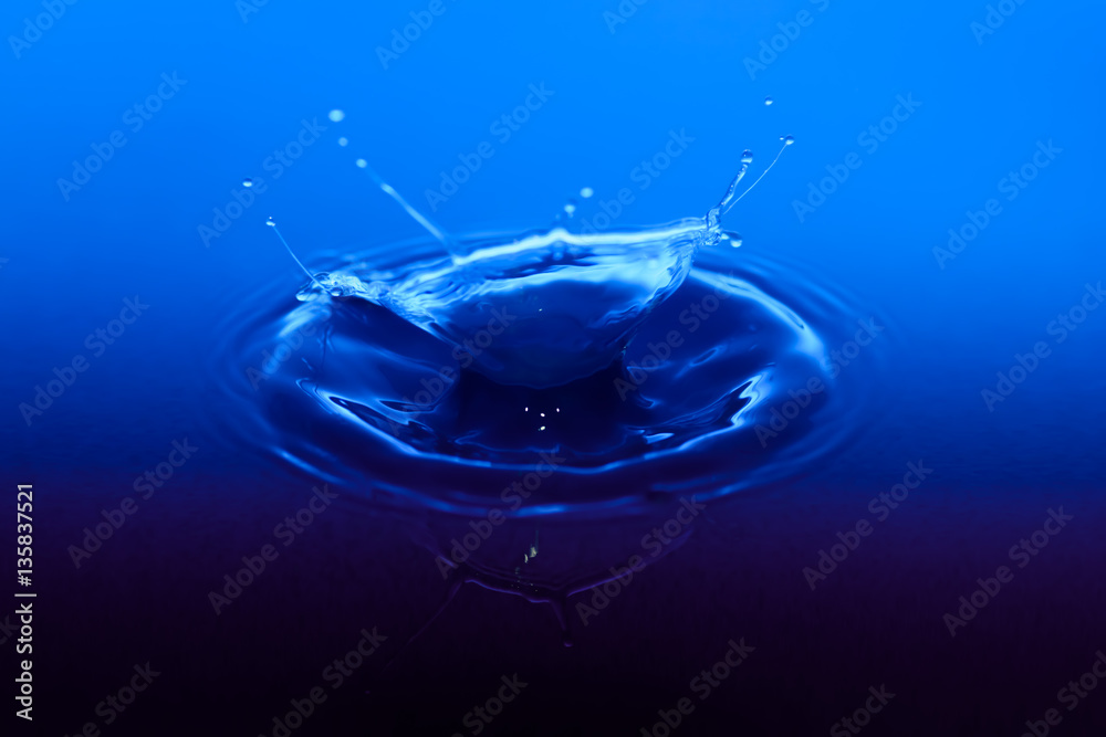Blagica (MidNightBlue) Blagica (MidNightBlue)