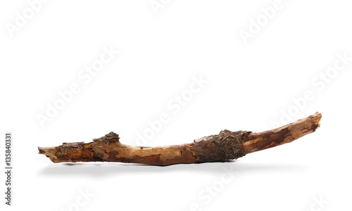 dry rotten branch with lichen isolated on white background