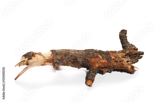 dry rotten branch with lichen isolated on white background