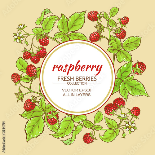 raspberry vector frame