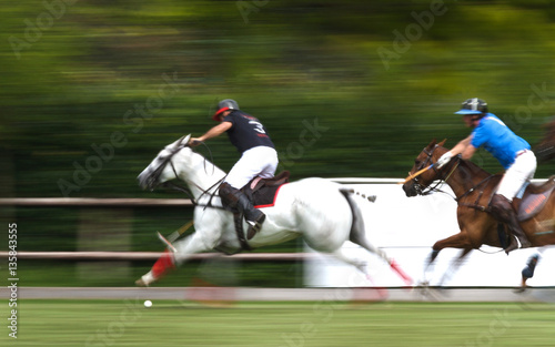 Horses in action during polo game