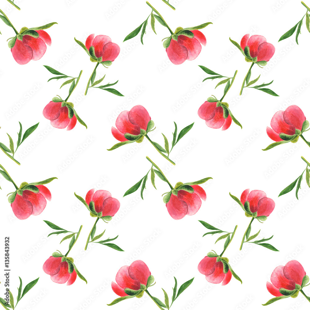 Pink peony bud on white background. Seamless watercolor pattern