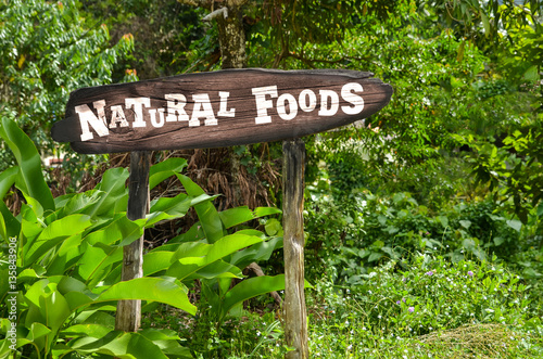 Natural Foods wooden sign on a background of green jungle. Aarrow, palm trees photo