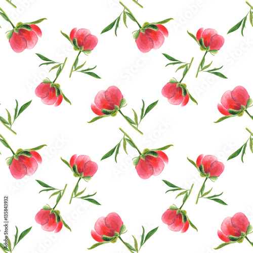 Pink peony bud on white background. Seamless watercolor pattern