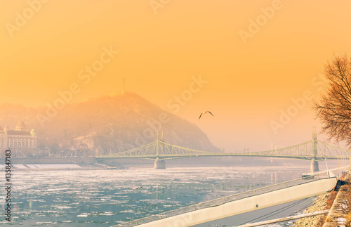Winter city sunset landscape with bridge and seagull.